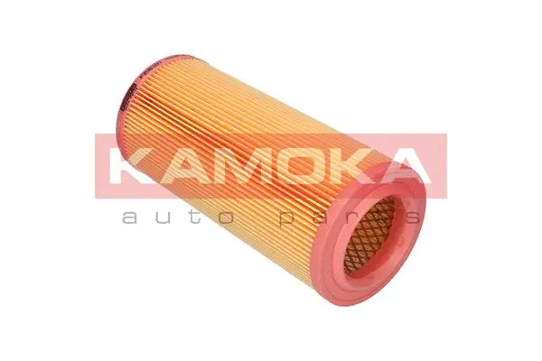 Air Filter (F206101)