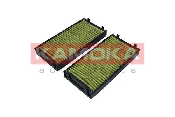 Filter, cabin air (6080061)