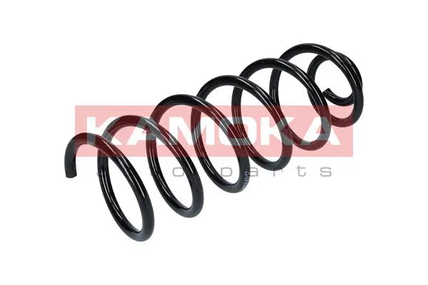 Suspension Spring (2120053)