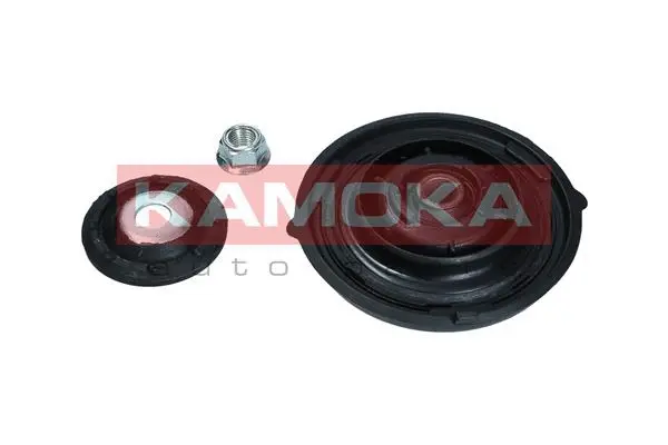 Repair Kit, suspension strut support mount (209072)