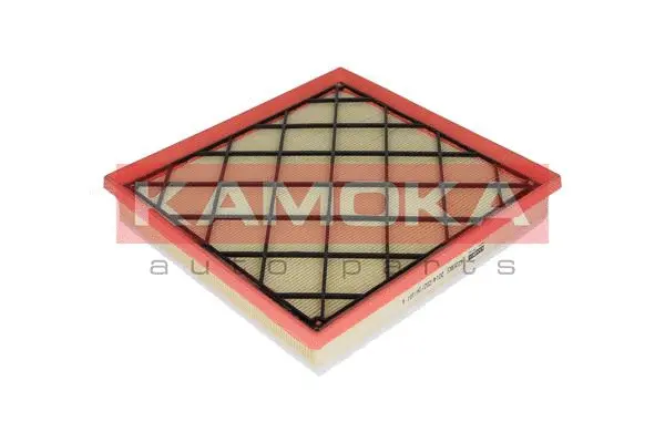 Air Filter (F220801)