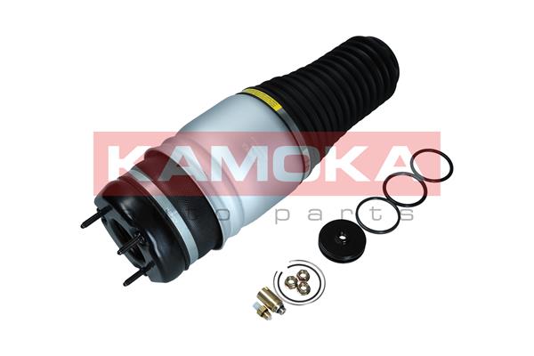 Air Spring, suspension (2079026)