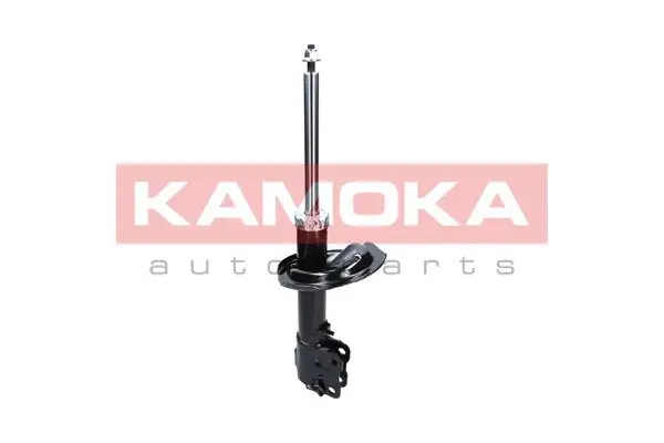 Shock Absorber (2000535)