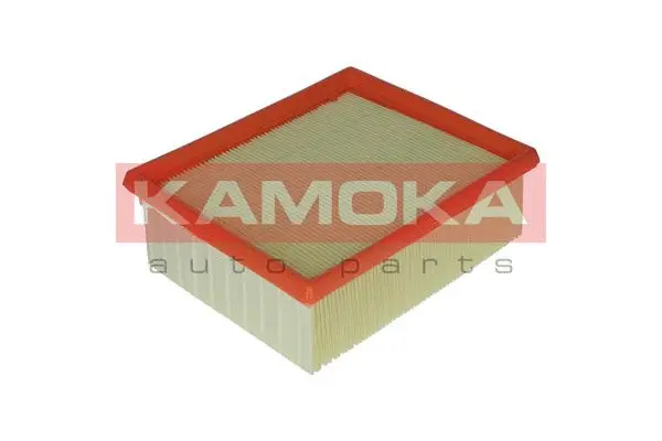 Air Filter (F209001)
