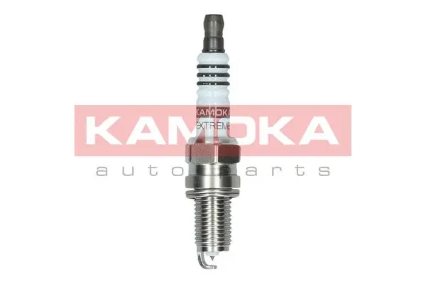 Spark Plug (7100048)