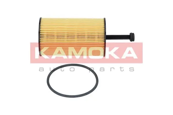 Oil Filter (F103101)