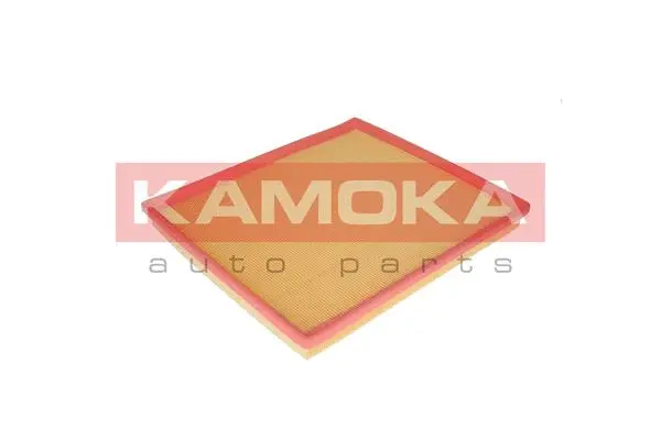 Air Filter (F217901)