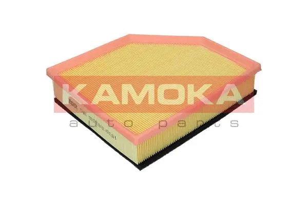 Air Filter (F249601)