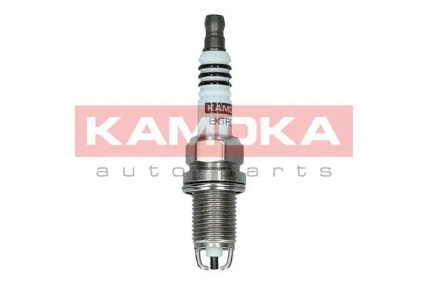 Spark Plug (7100504)