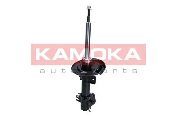Shock Absorber (2000445)
