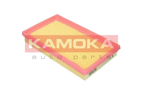 Air Filter (F251401)