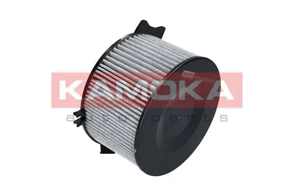 Filter, cabin air (F501301)