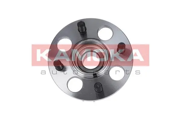 Wheel Bearing Kit (5500018)
