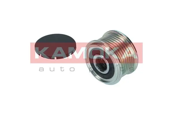 Alternator Freewheel Clutch