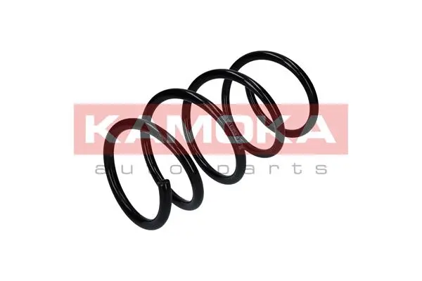 Suspension Spring (2110351)