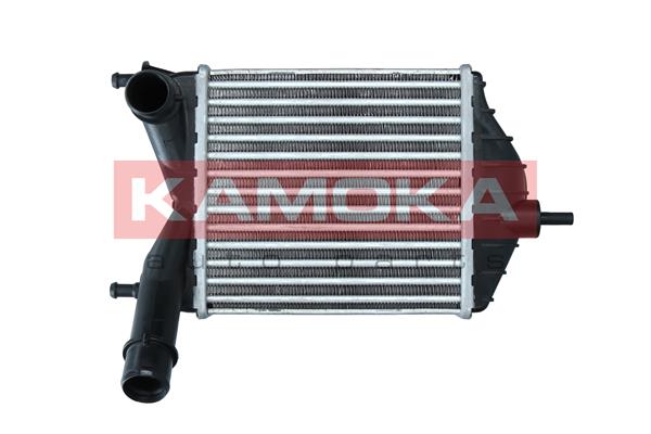 Charge Air Cooler (7750142)
