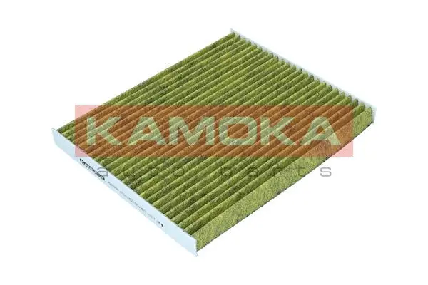Filter, cabin air (6080099)