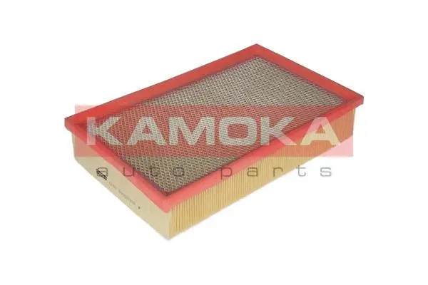 Air Filter (F219301)