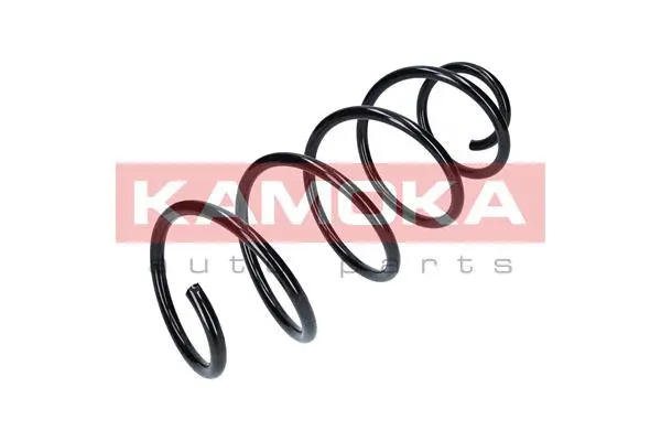 Suspension Spring (2110173)