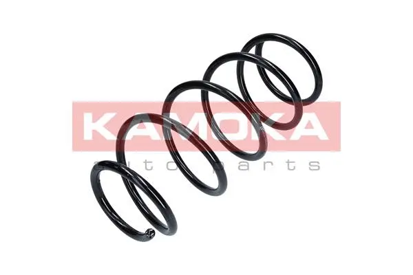 Suspension Spring (2110055)