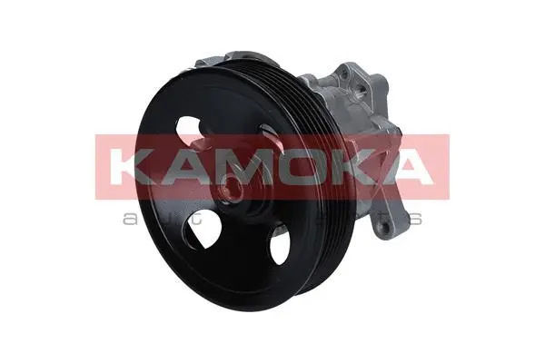 Hydraulic Pump, steering (PP136)