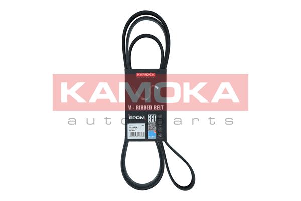 V-Ribbed Belt (7016216)