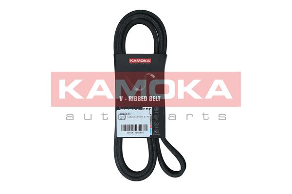 V-Ribbed Belt (7016163)