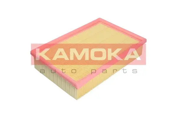 Air Filter (F221701)