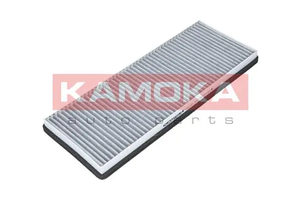 Filter, cabin air (F501001)