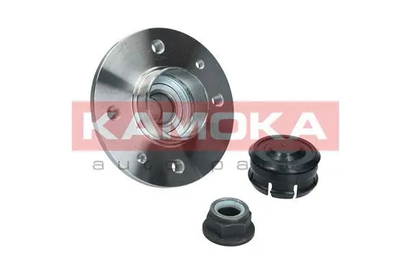 Wheel Bearing Kit (5500317)