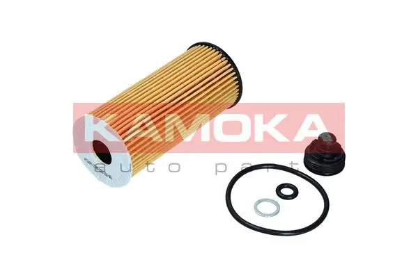 Oil Filter (F116101)