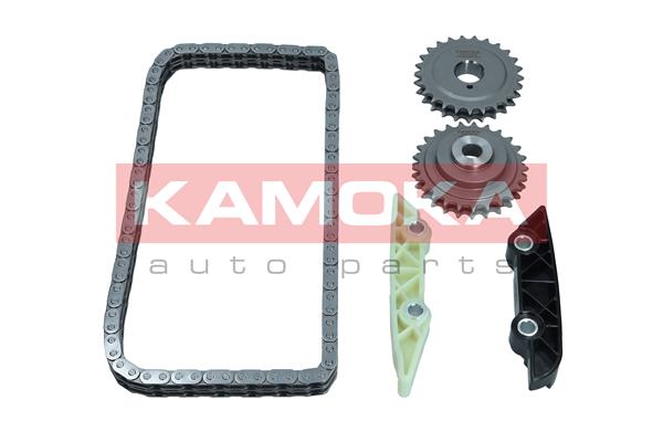 Timing Chain Kit (7001619)