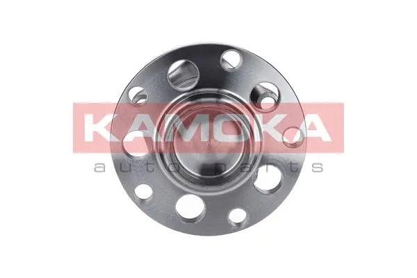 Wheel Bearing Kit (5500071)