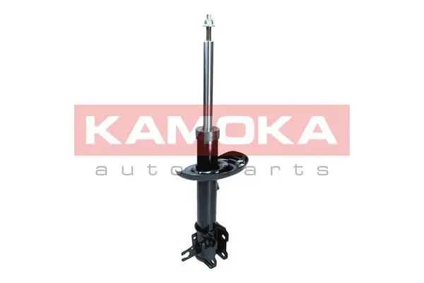 Shock Absorber (2000593)