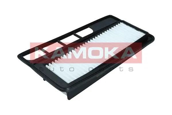 Air Filter (F253701)