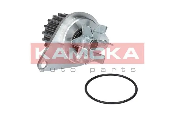 Water Pump, engine cooling (T0089)