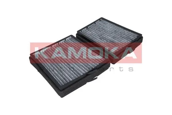 Filter, cabin air (F507301)