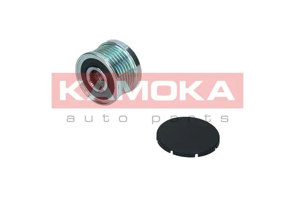 Alternator Freewheel Clutch