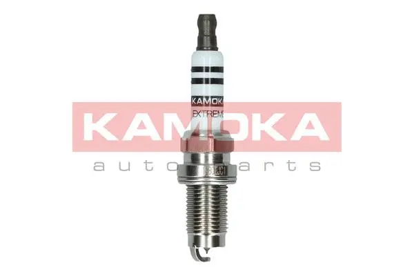 Spark Plug (7100004)
