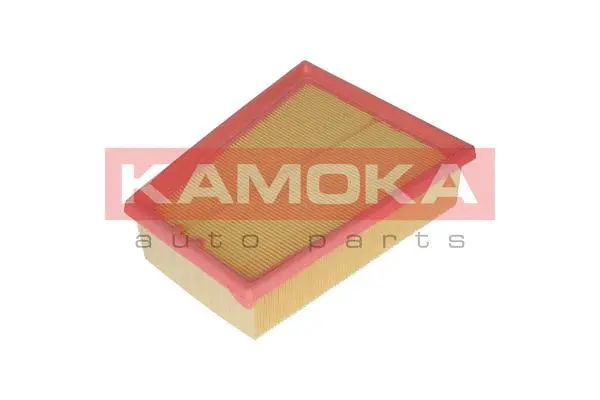 Air Filter (F234001)