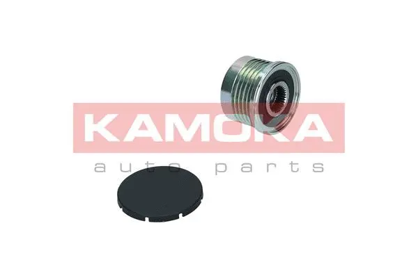 Alternator Freewheel Clutch