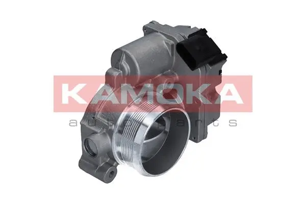 Throttle Body (112013)