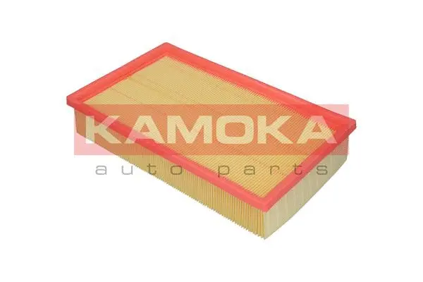 Air Filter (F200201)