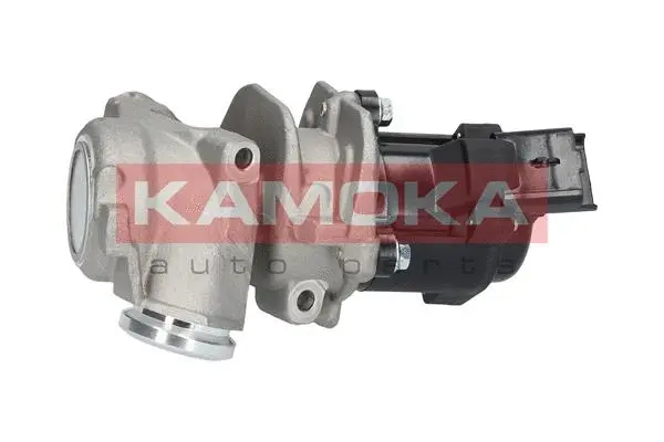 EGR Valve