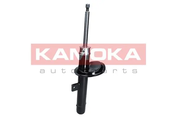 Shock Absorber (2000211)