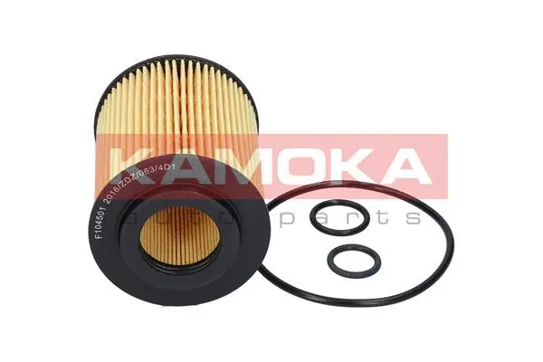 Oil Filter (F104501)