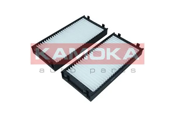 Filter, cabin air (F421101)