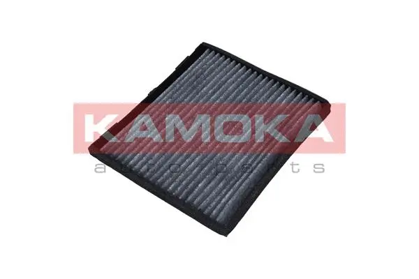 Filter, cabin air (F503001)