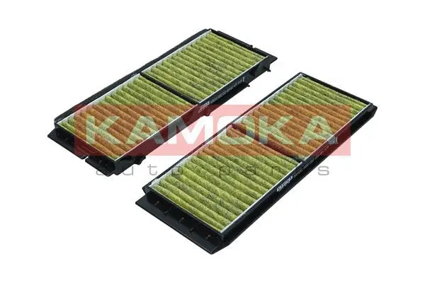 Filter, cabin air (6080151)