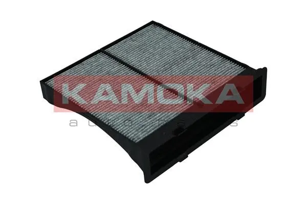 Filter, cabin air (F519801)